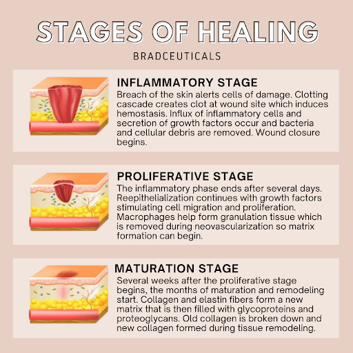 stage of healing