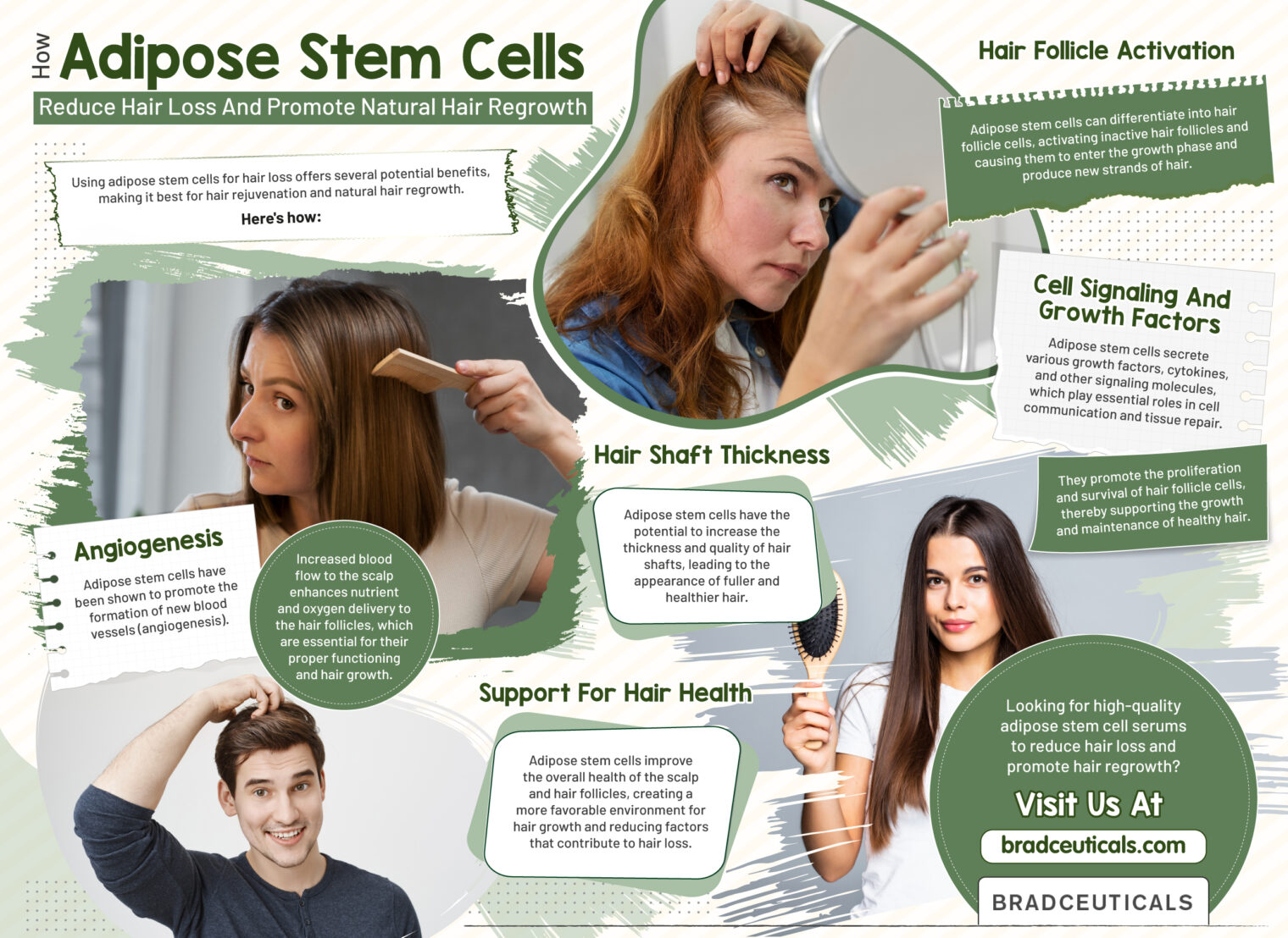 How Adipose Stem Cells Reduce Hair Loss And Promote Natural Hair Regrowth