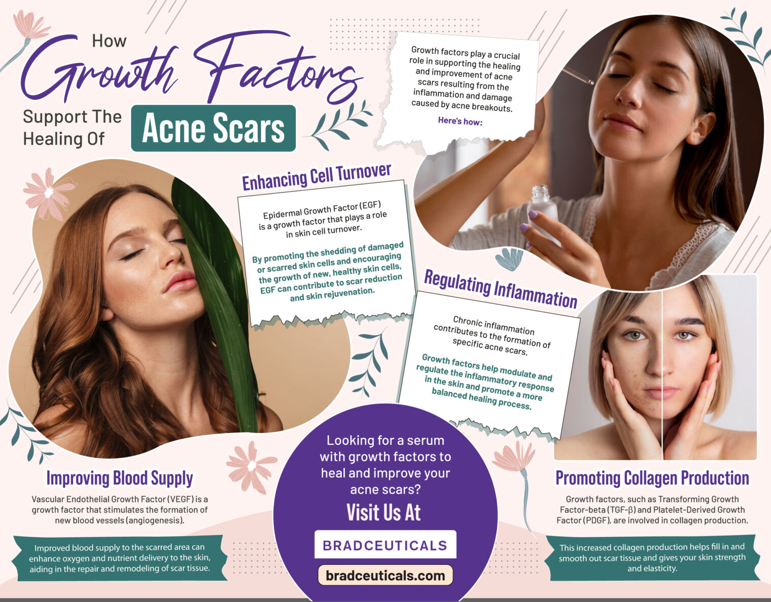 Bradceuticals 6thMonth 2ndInfo